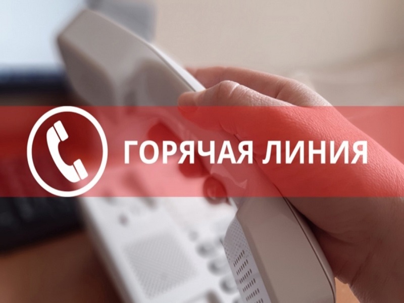 О проведении «горячей линии» по вопросам качества и безопасности детских товаров и школьных принадлежностей.