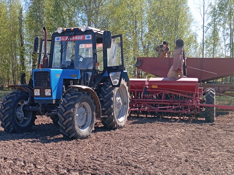 В сельхозпредприятиях Пижанского муниципального округа  продолжается сев яровых зерновых и зернобобовых культур.