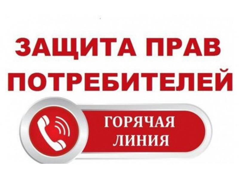 Проведении горячей линии по вопросам качества и безопасности детских товаров, выбору новогодних подарков.